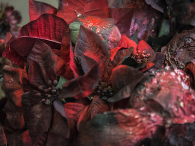 Spring 2018 MFA Exhibition