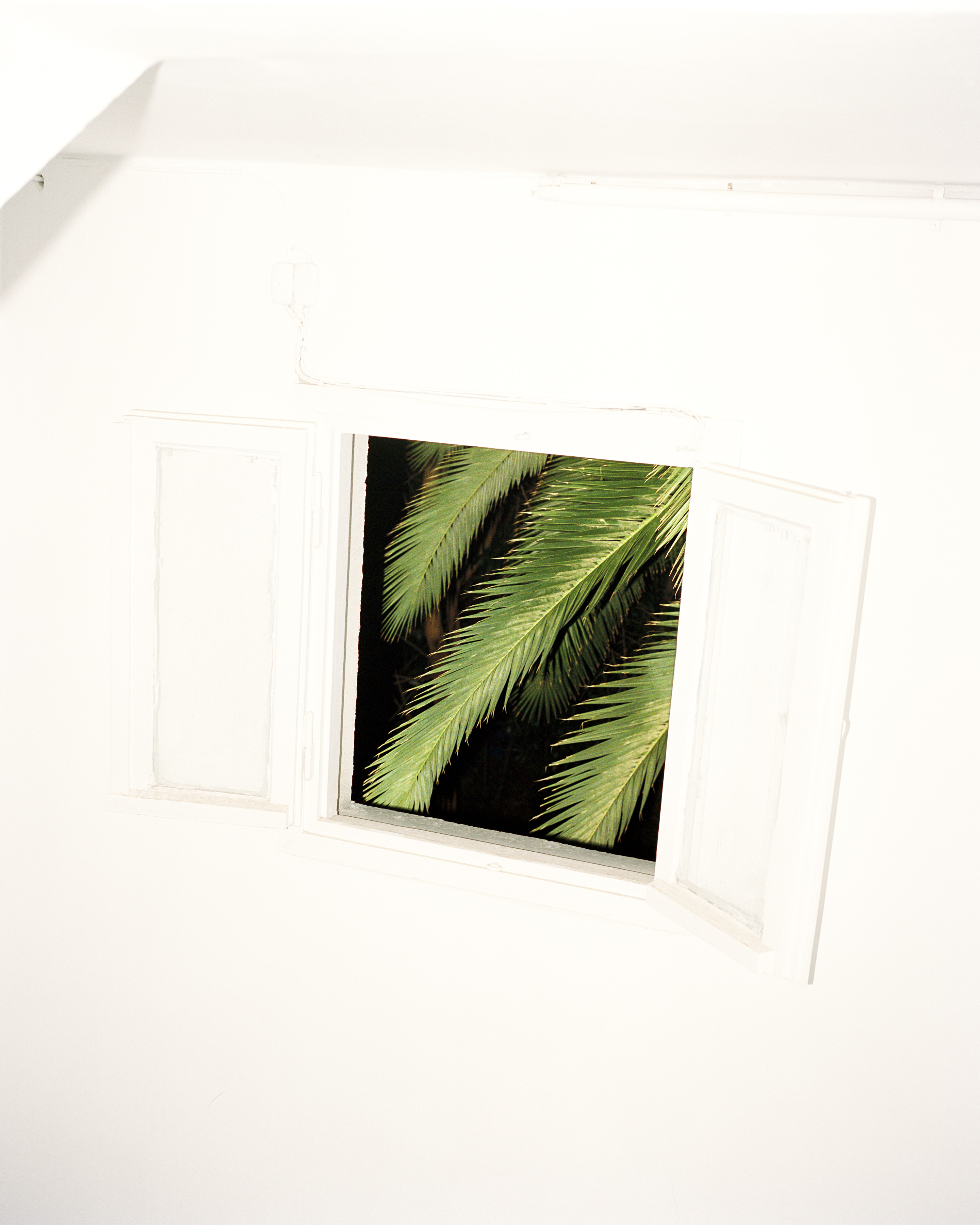 Adam Golfer Thesis Image