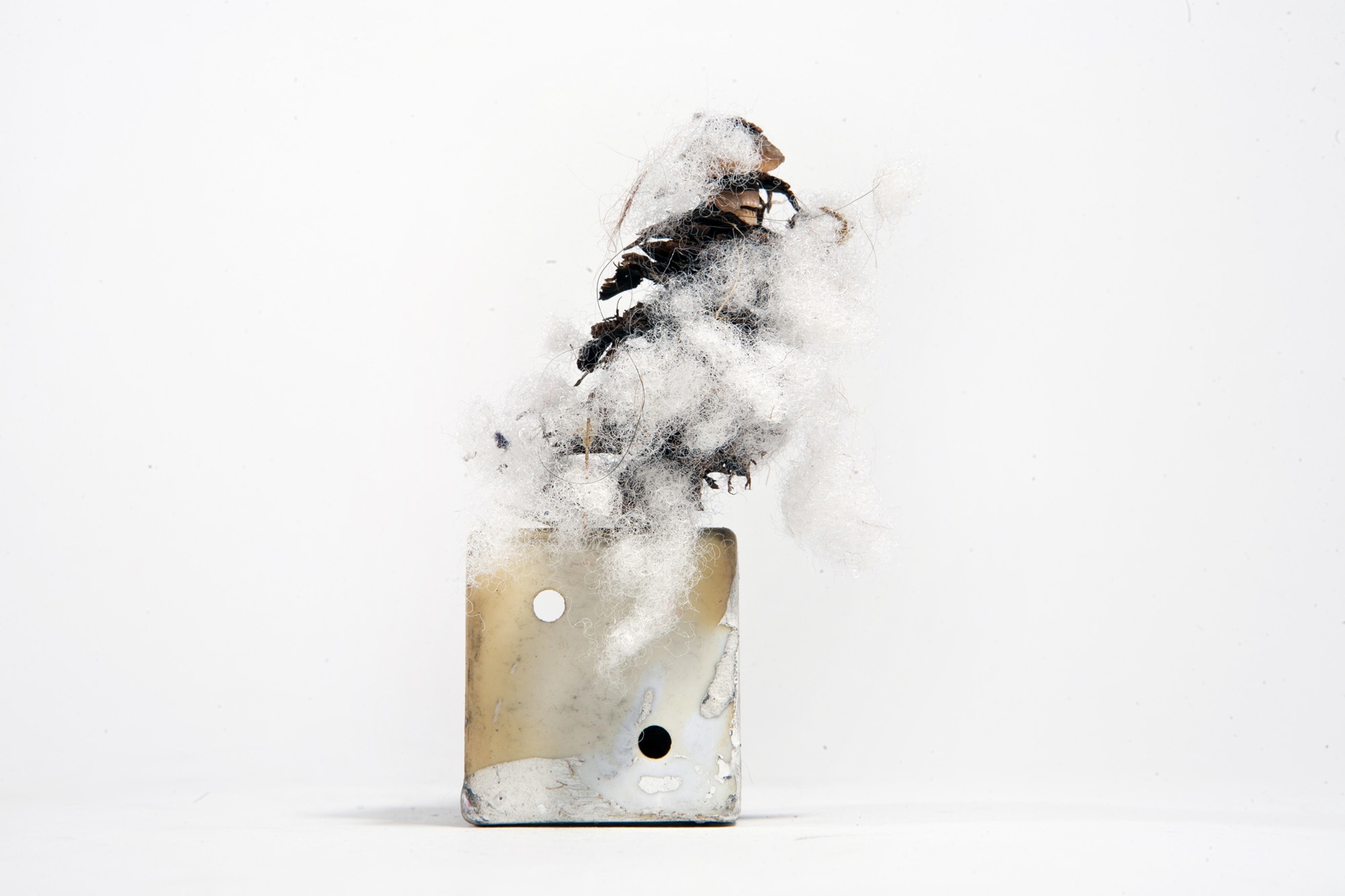 Alexander Bustamante Thesis Image