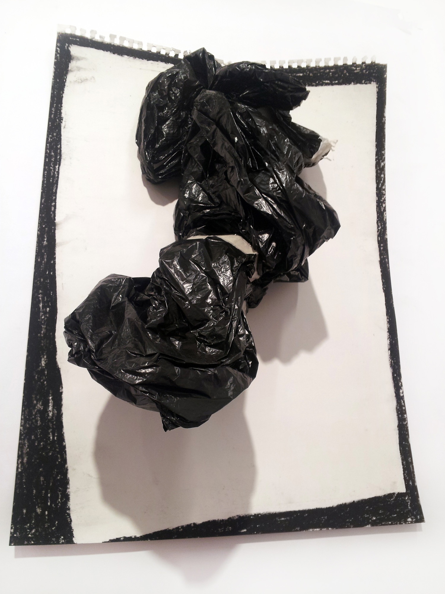 Alexander Bustamante Thesis Image