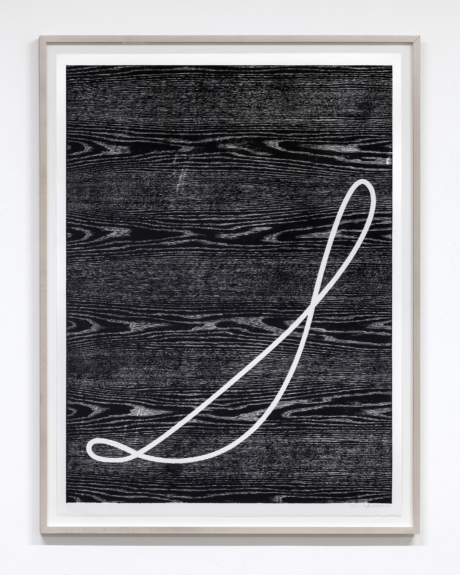 Evan Bellantone Thesis Image