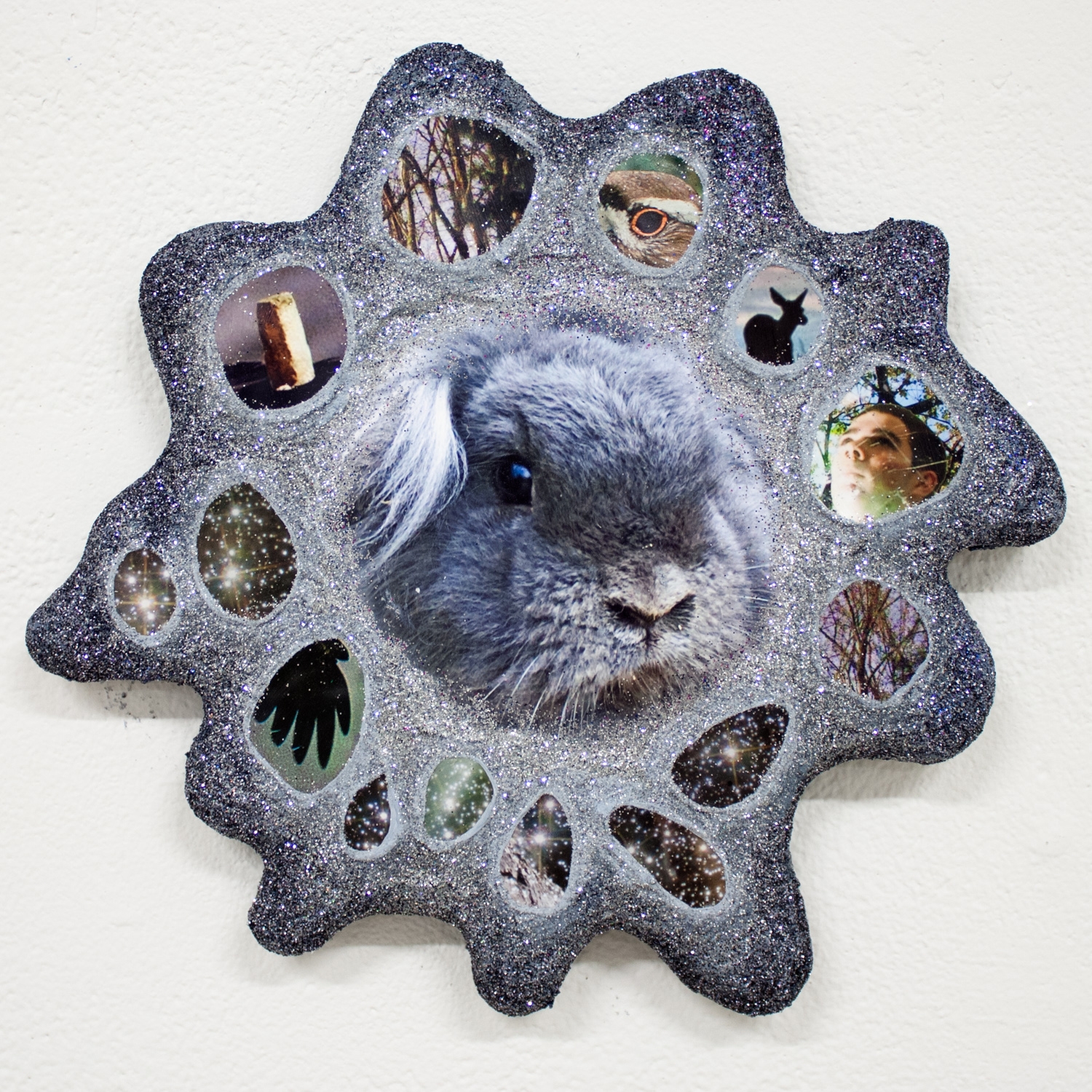 Freddie Greis Thesis Image