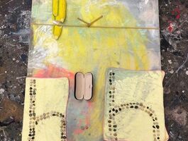 Hannah Beerman Thesis Image