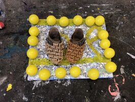 Hannah Beerman Thesis Image