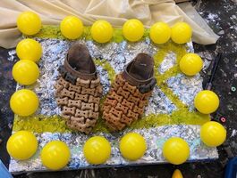 Hannah Beerman Thesis Image