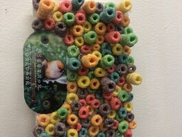 Hannah Beerman Thesis Image