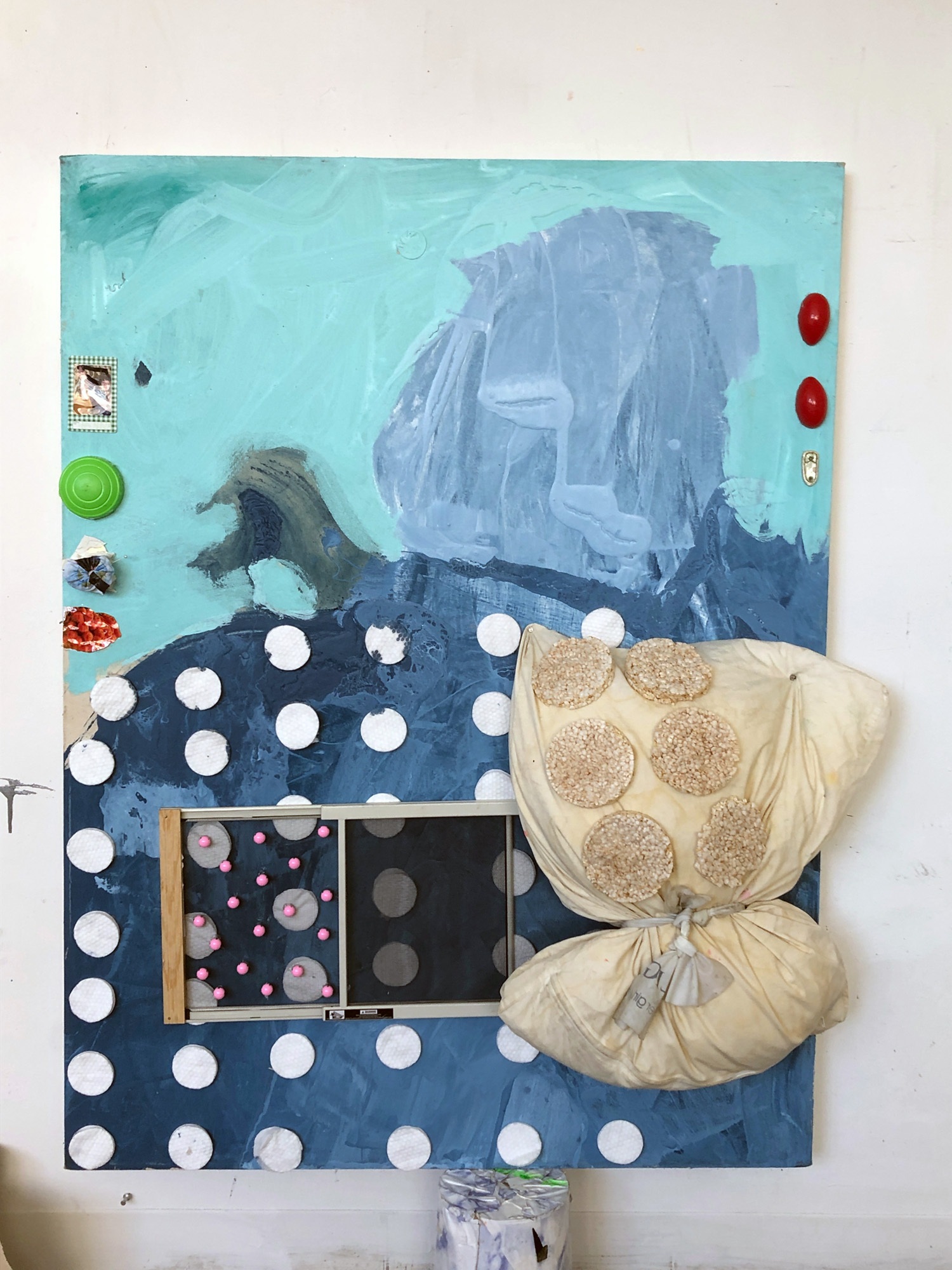 Hannah Beerman Thesis Image
