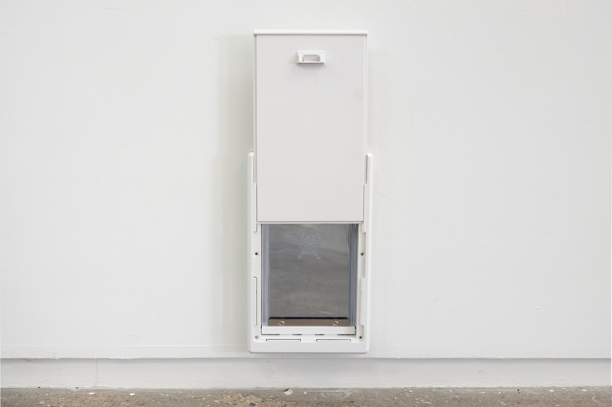 Johanna Strobel Thesis Image