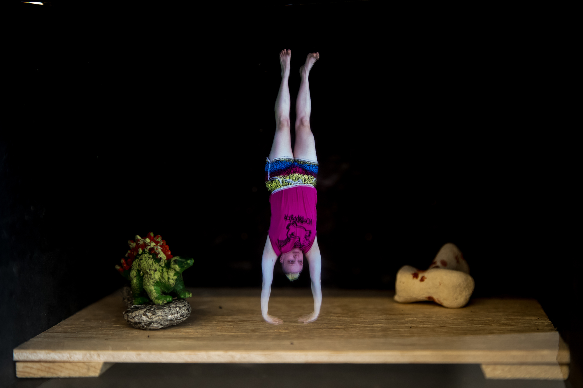 Kristina Schmidt Thesis Image