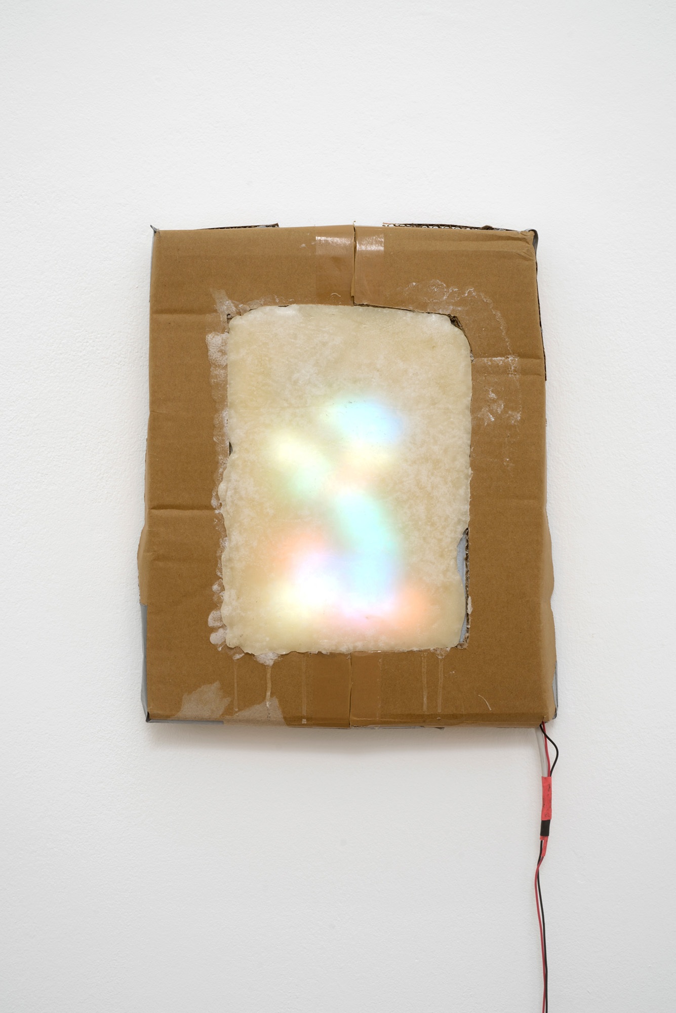 Kristina Schmidt Thesis Image