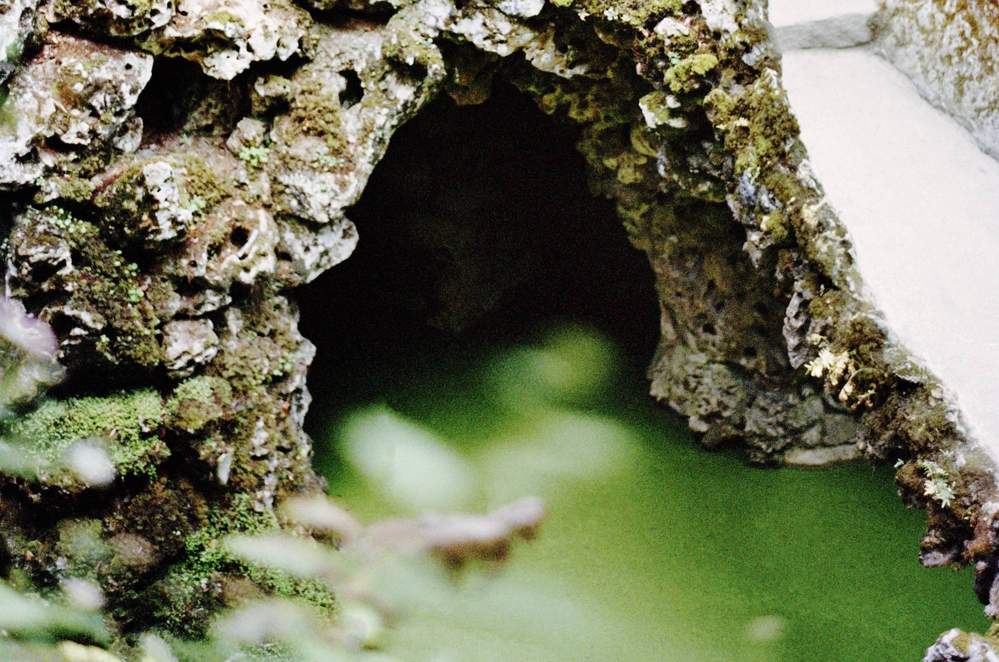 Thesis Feature Image