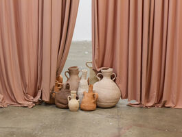 Maya Yadid Thesis Image