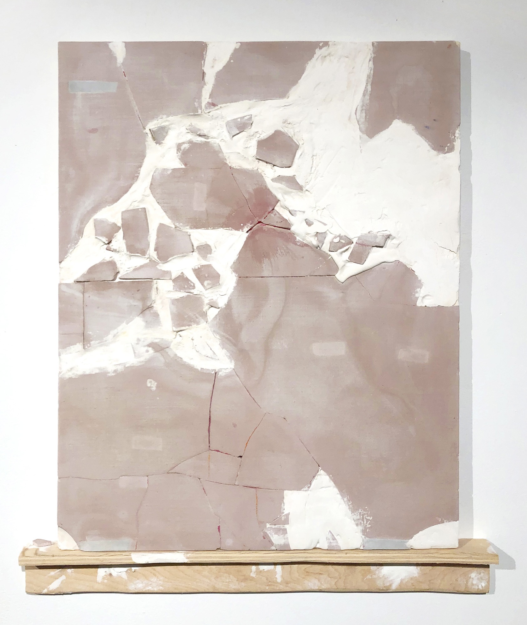 Patrick Carlin Mohundro Thesis Image