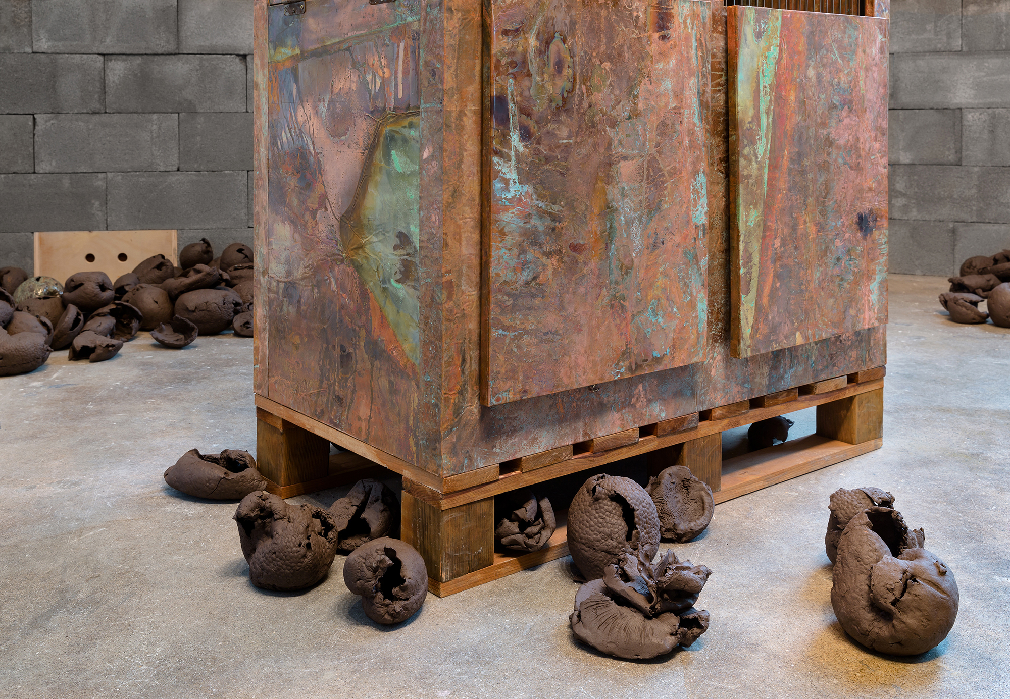 Rachelle Dang Thesis Image