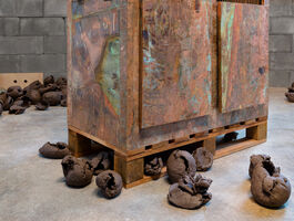 Rachelle Dang Thesis Image