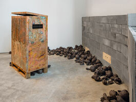 Rachelle Dang Thesis Image