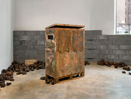 Rachelle Dang Thesis Image