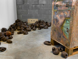 Rachelle Dang Thesis Image