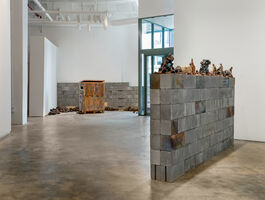 Rachelle Dang Thesis Image