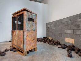 Rachelle Dang Thesis Image