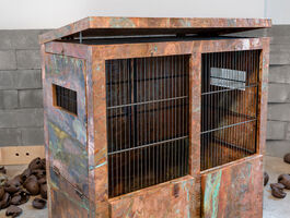 Rachelle Dang Thesis Image