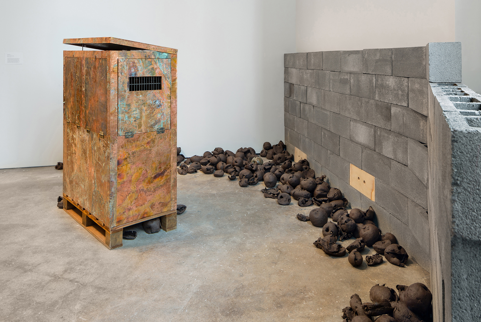 Rachelle Dang Thesis Image