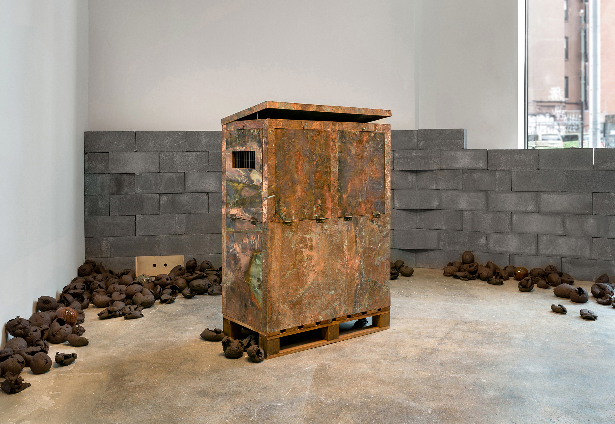 Rachelle Dang Thesis Image