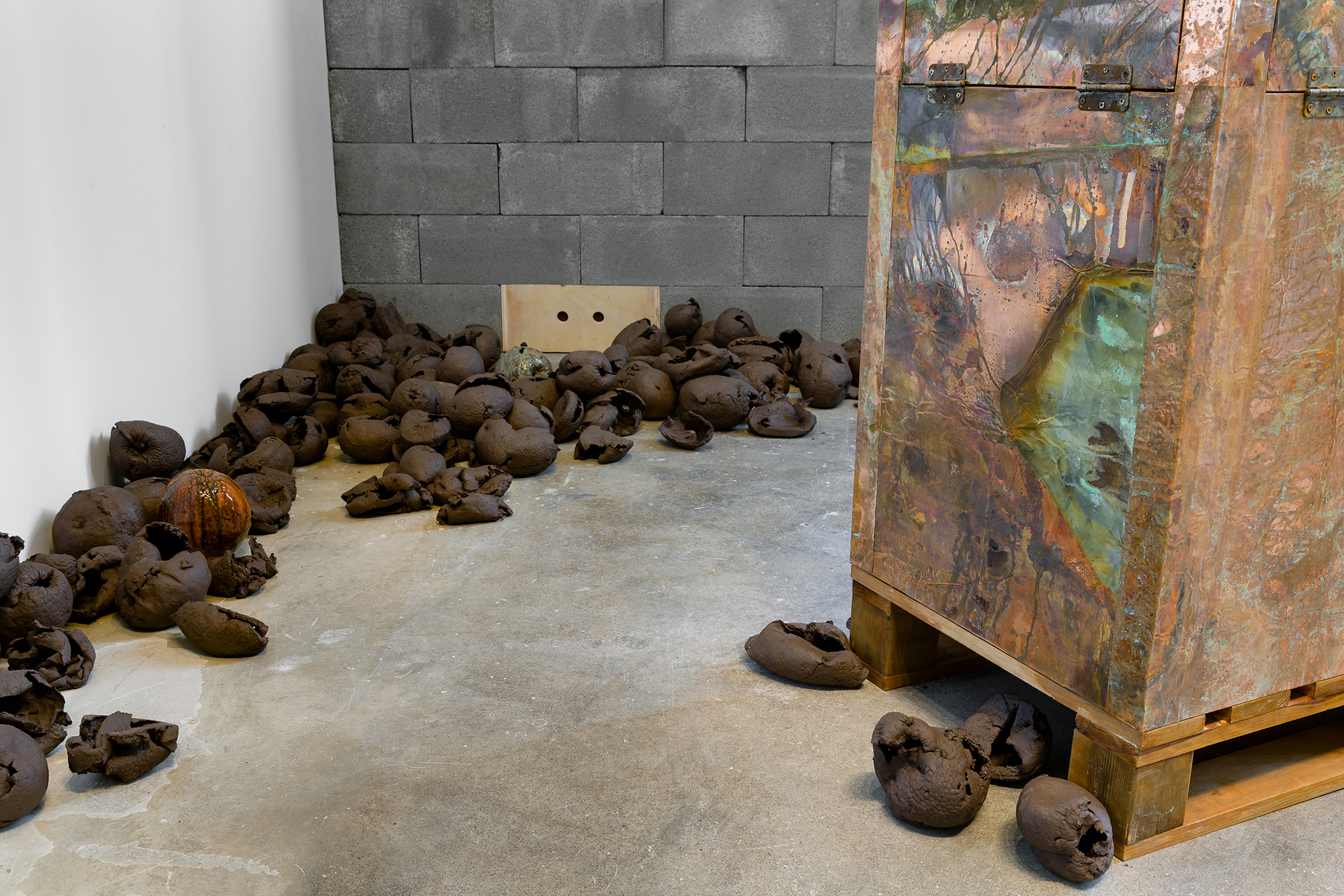 Rachelle Dang Thesis Image