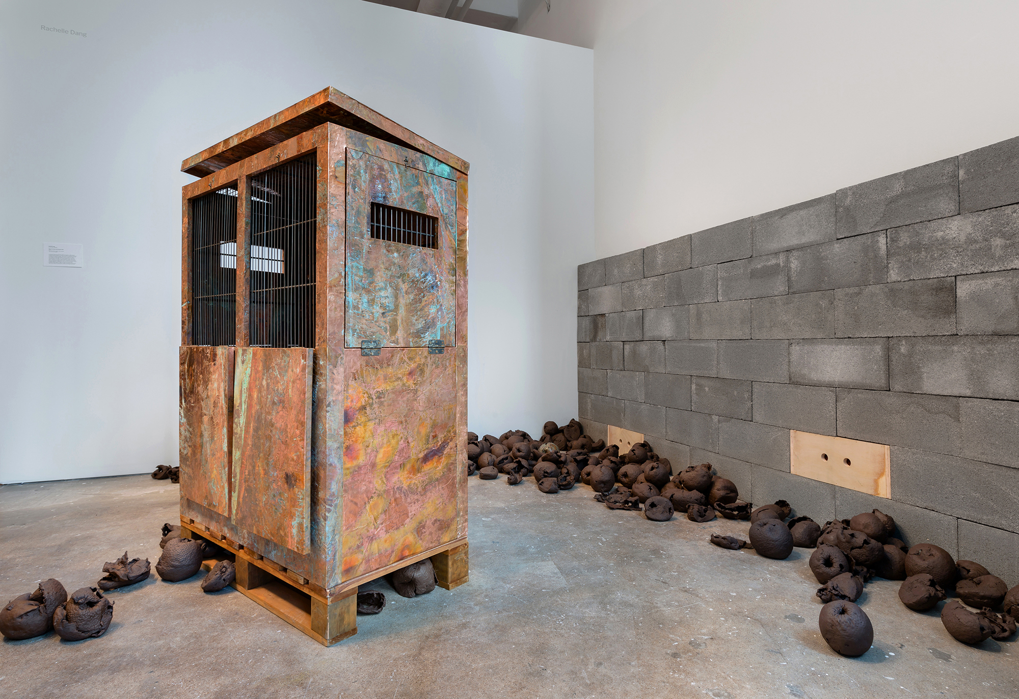 Rachelle Dang Thesis Image