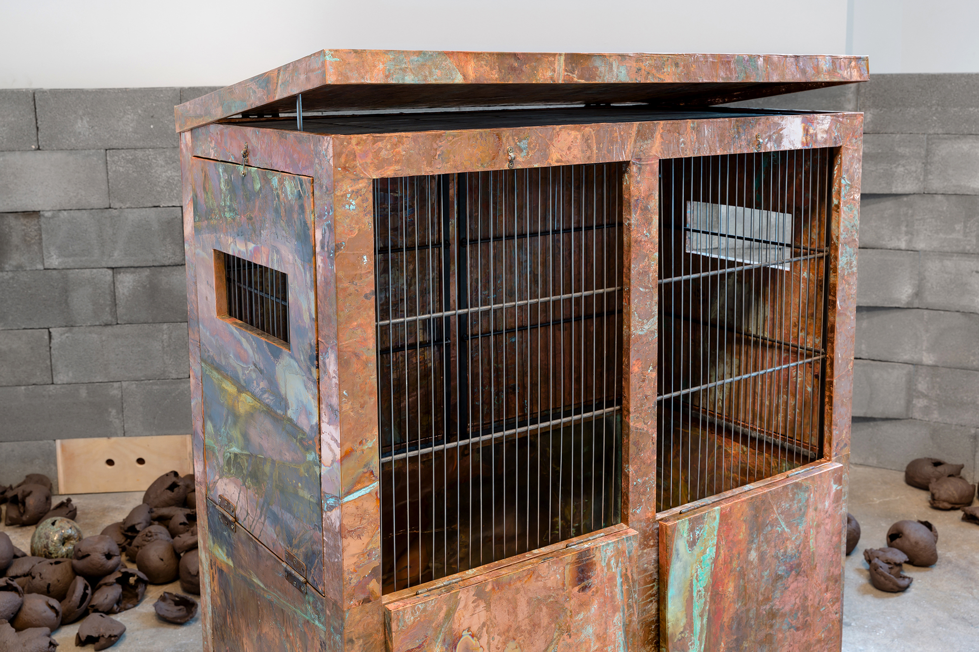 Rachelle Dang Thesis Image