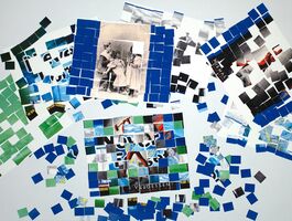 Sam Sherman Thesis Image