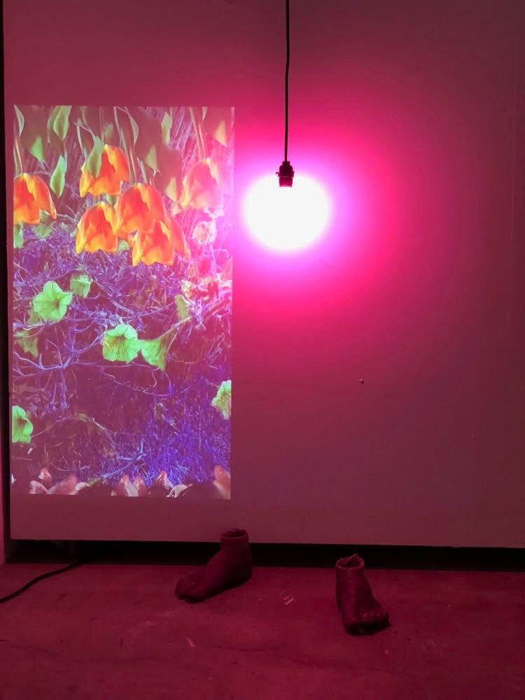 Stewart Stout Thesis Image