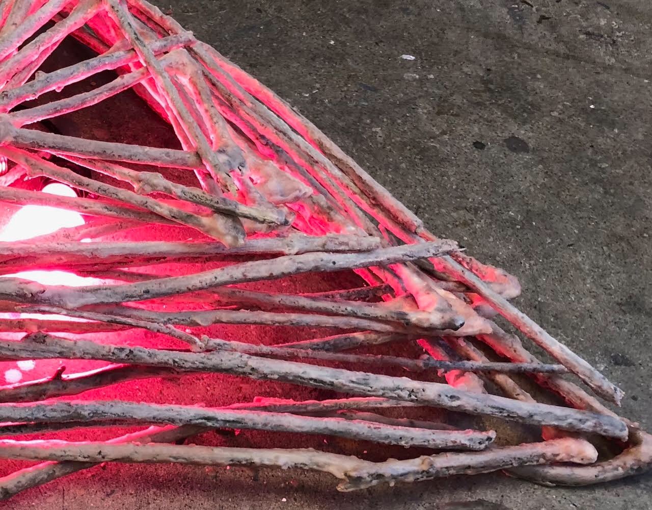 Stewart Stout Thesis Image