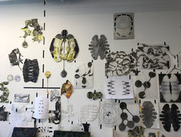 Taylor Laufersweiler Thesis Image