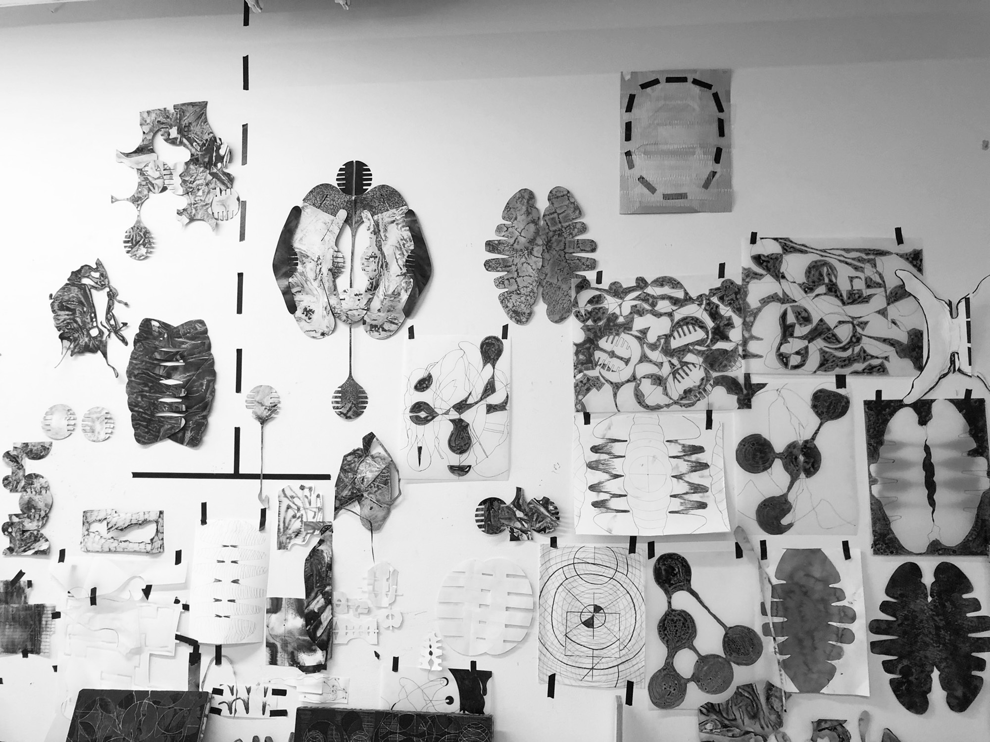 Taylor Laufersweiler Studio Image