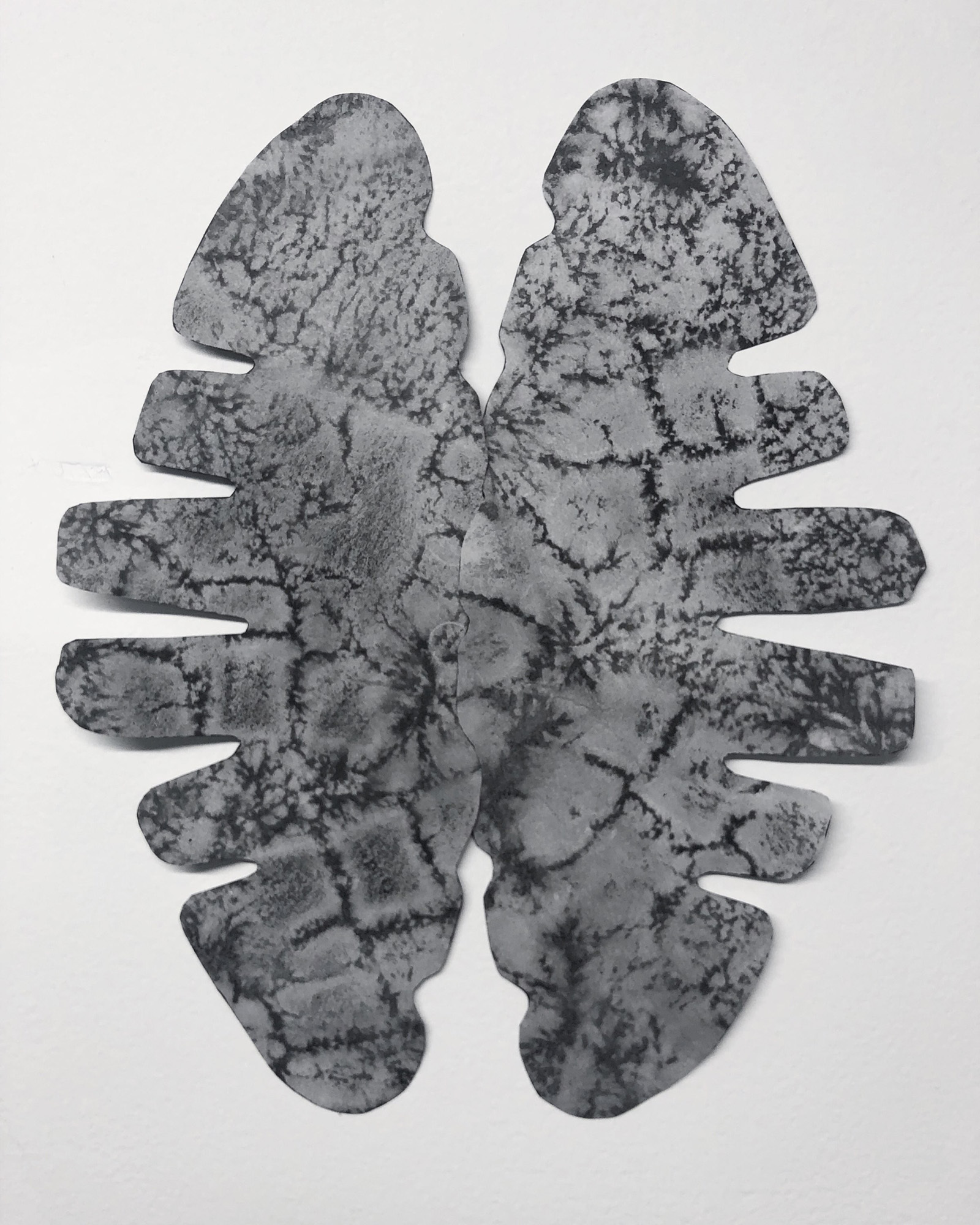 Taylor Laufersweiler Thesis Image