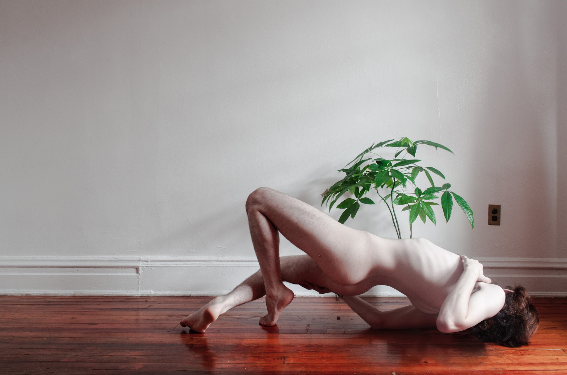 Tim Foley Thesis Image